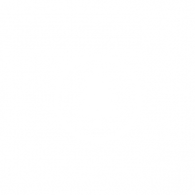 White Forest Innovation Logo